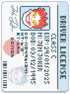 Driver's License image